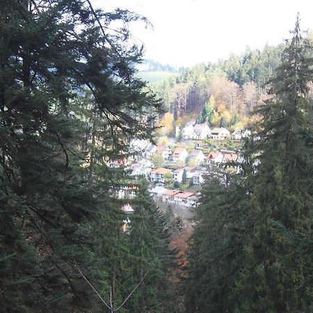 Relaxapartments Black Forest Diamond Direkt An Der Hornberger Freilichtbuehne - Sonnenterrasse Mit Blick Auf Das Hornberger Schloss, Schnelles Internet, Fuer Bis Zu 2 Personen 외부 사진