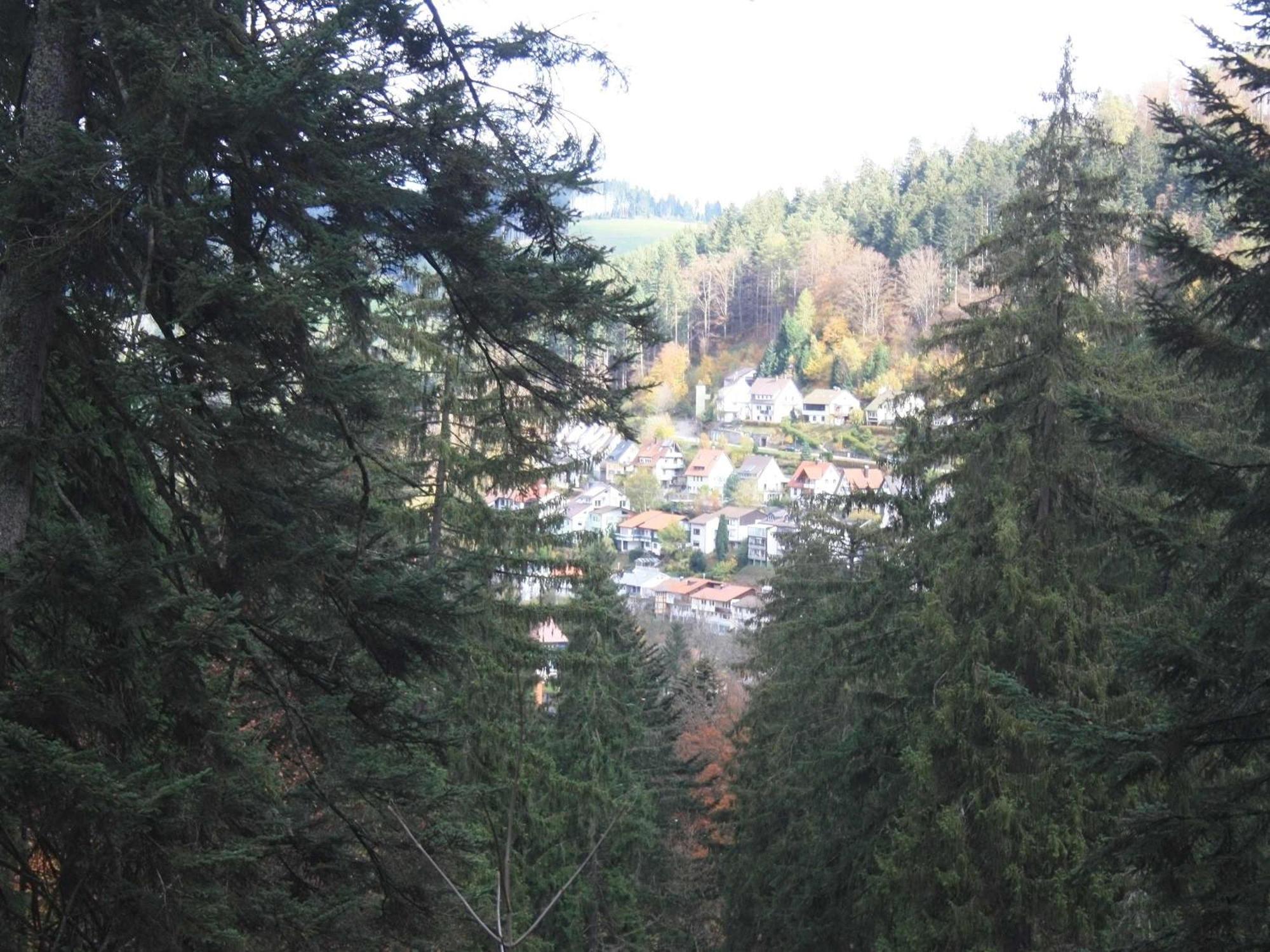 Relaxapartments Black Forest Diamond Direkt An Der Hornberger Freilichtbuehne - Sonnenterrasse Mit Blick Auf Das Hornberger Schloss, Schnelles Internet, Fuer Bis Zu 2 Personen 외부 사진