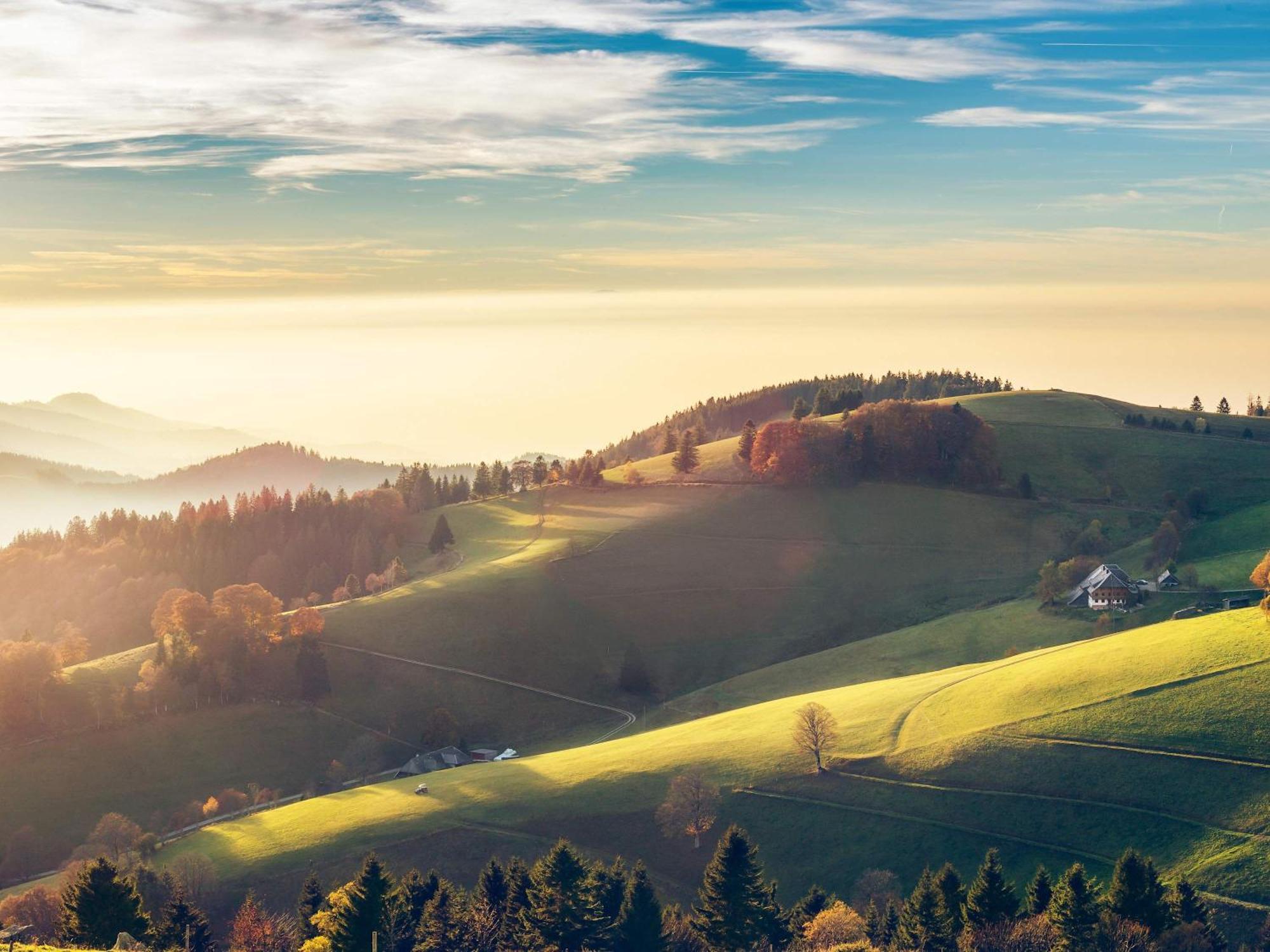Relaxapartments Black Forest Diamond Direkt An Der Hornberger Freilichtbuehne - Sonnenterrasse Mit Blick Auf Das Hornberger Schloss, Schnelles Internet, Fuer Bis Zu 2 Personen 외부 사진