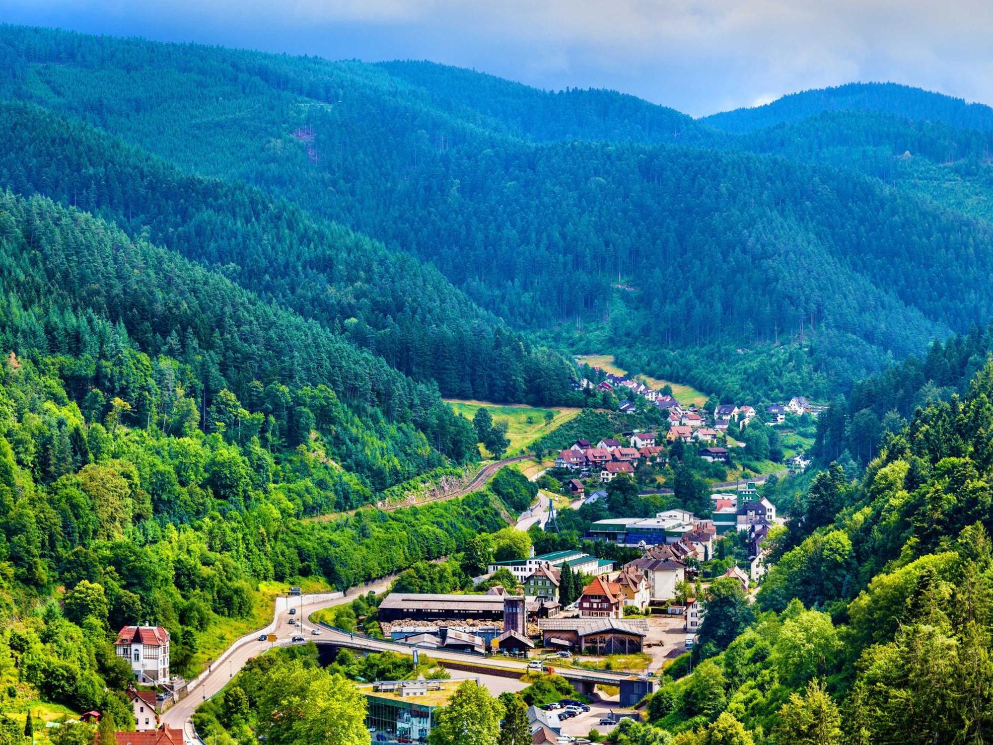Relaxapartments Black Forest Diamond Direkt An Der Hornberger Freilichtbuehne - Sonnenterrasse Mit Blick Auf Das Hornberger Schloss, Schnelles Internet, Fuer Bis Zu 2 Personen 외부 사진