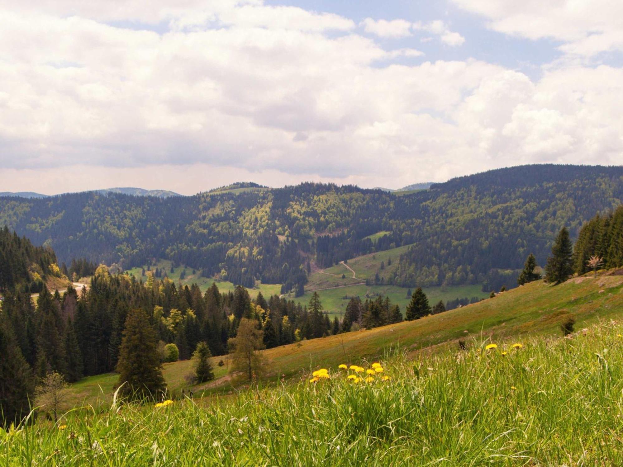 Relaxapartments Black Forest Diamond Direkt An Der Hornberger Freilichtbuehne - Sonnenterrasse Mit Blick Auf Das Hornberger Schloss, Schnelles Internet, Fuer Bis Zu 2 Personen 외부 사진